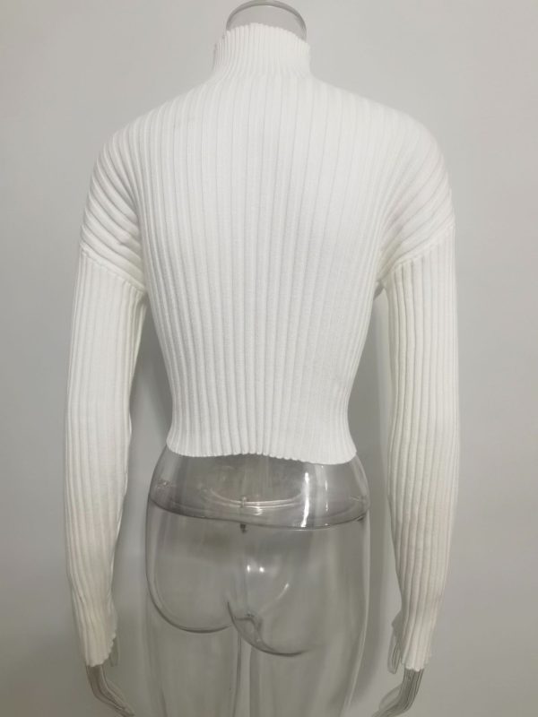 Autumn winter solid color basic jumpers Turtleneck slim fit cropped short knitwear women chunky needles sweater