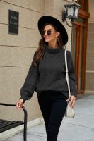 Clothing rolled neck jumper mujer solid color winter fall casual pullover loose cable sweaters for women