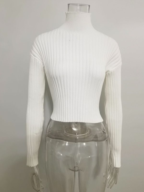 Autumn winter solid color basic jumpers Turtleneck slim fit cropped short knitwear women chunky needles sweater